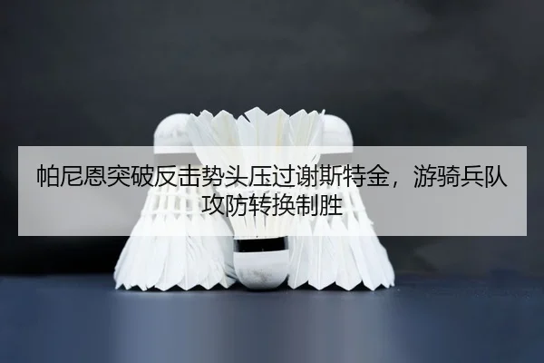 pa-ni-en-tu-po-fan-ji-shi-tou-ya-guo-xie-si-te-jin-you-qi-bing-dui-gong-fang-zhuan-huan-zhi-sheng-2-828.jpg