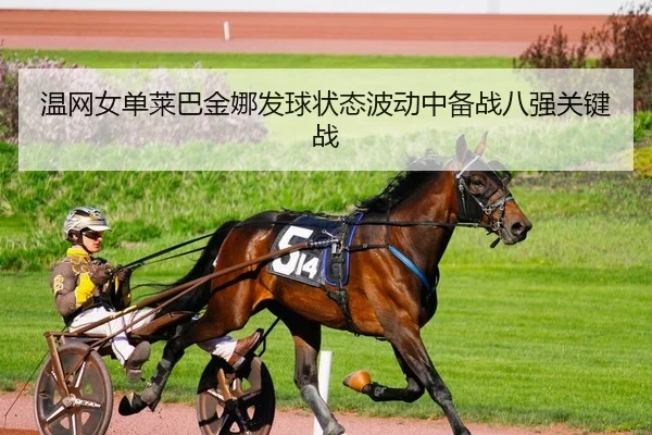 温网女单莱巴金娜发球状态波动中备战八强关键战